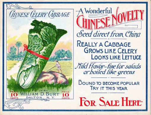 WD Burt Celery
                    Poster