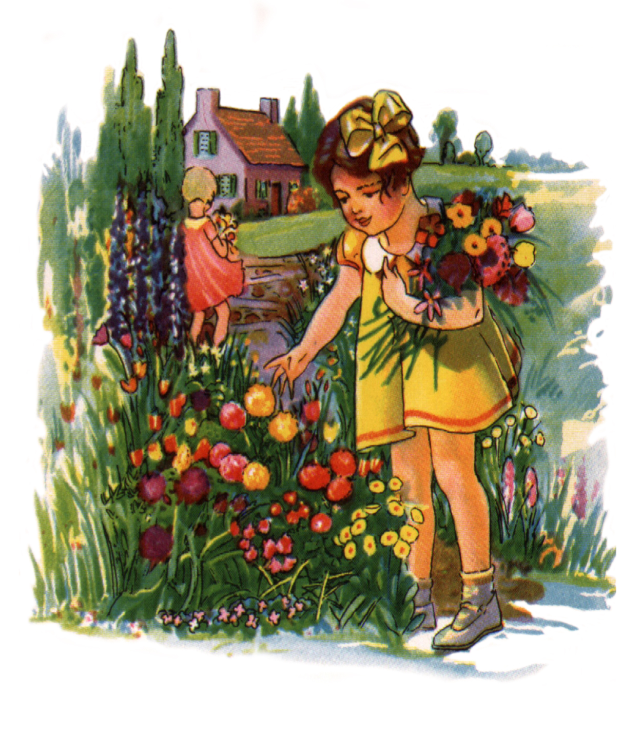 Wildflower Seed Mix